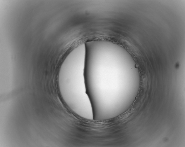 X0000092050757200709121025