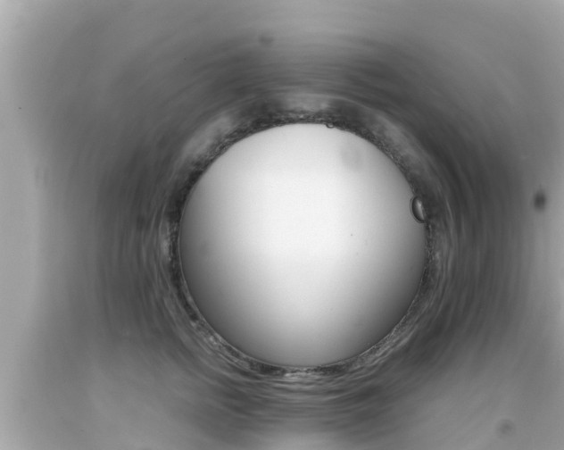 X0000092050758200709121025