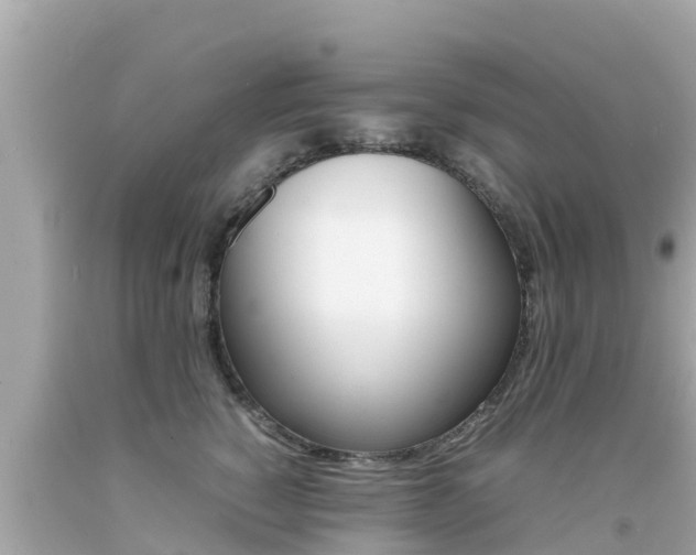 X0000092050760200709121025
