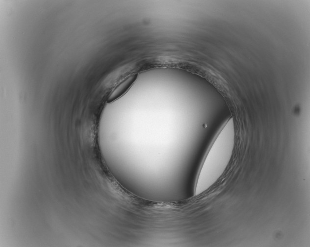 X0000092050762200709121025