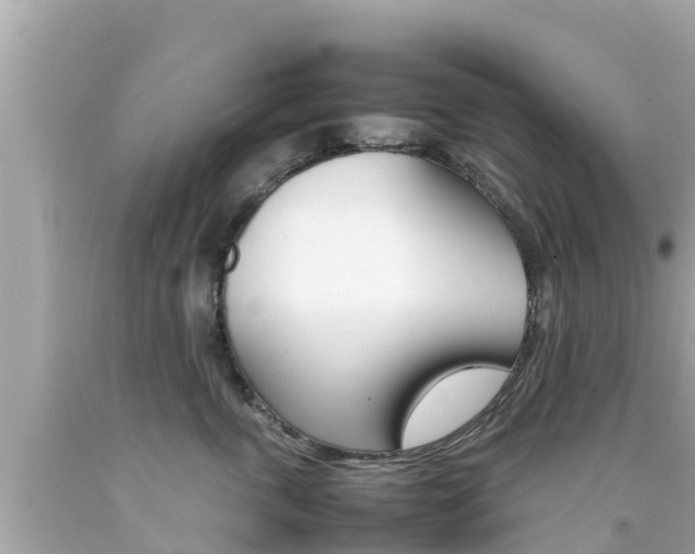 X0000092050763200709121025