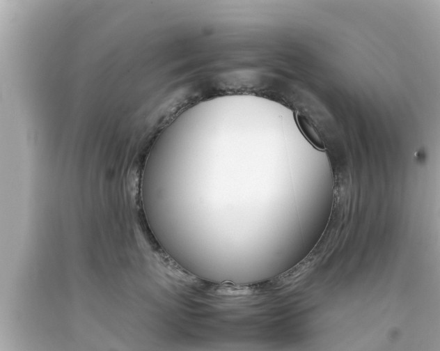 X0000092050767200709121025