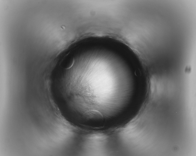 X0000092050770200709121024