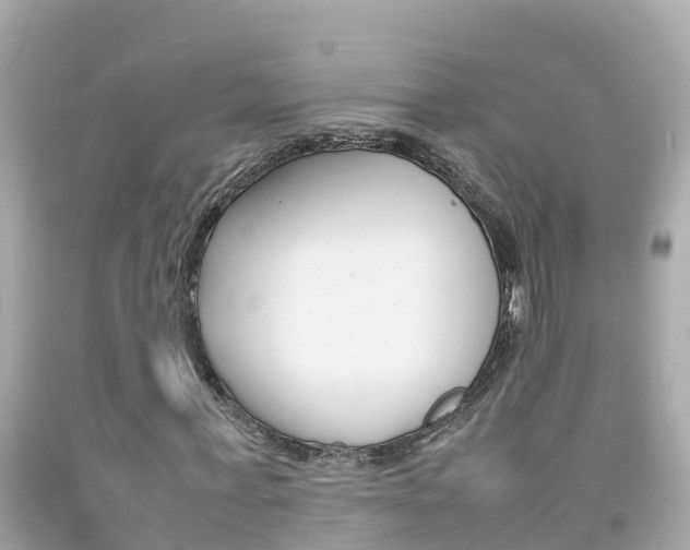 X0000092050771200709121024