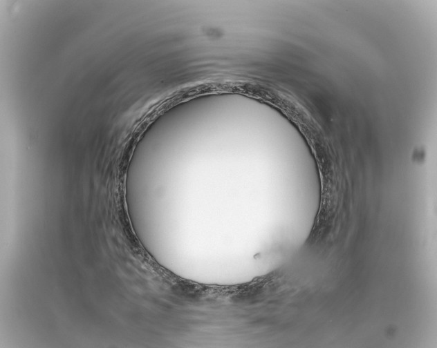X0000092050773200709121024