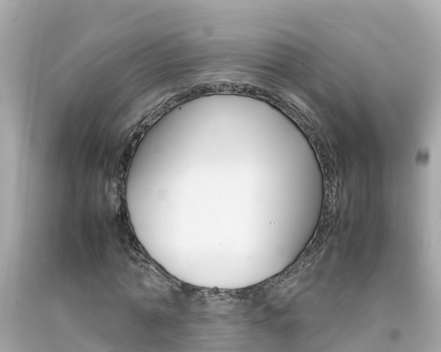 X0000092050774200709121024