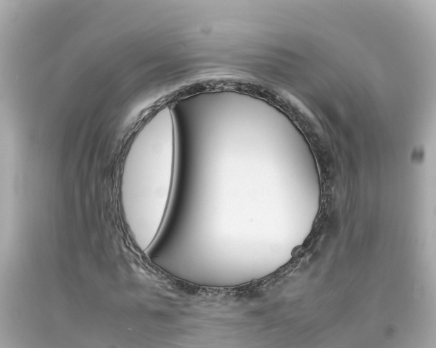 X0000092050775200709121024