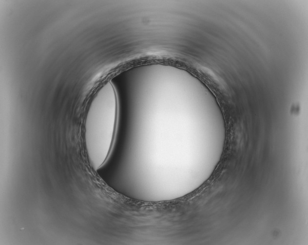 X0000092050776200709121024