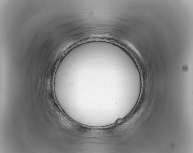X0000092050777200709121024