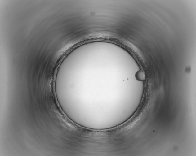 X0000092050778200709121024