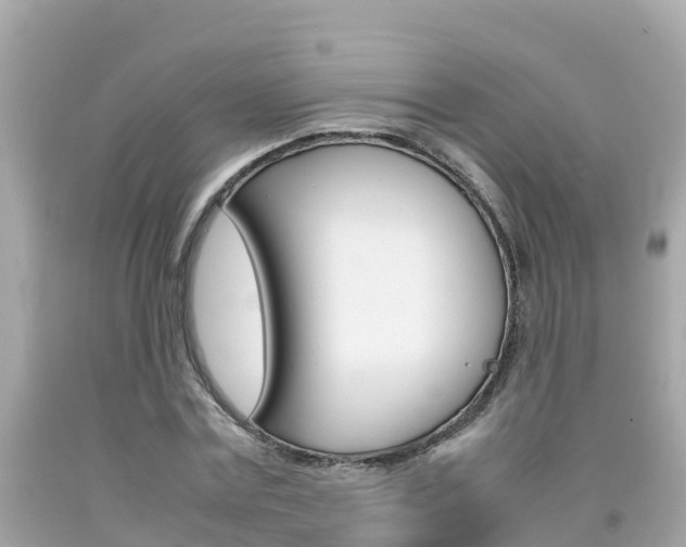 X0000092050779200709121024
