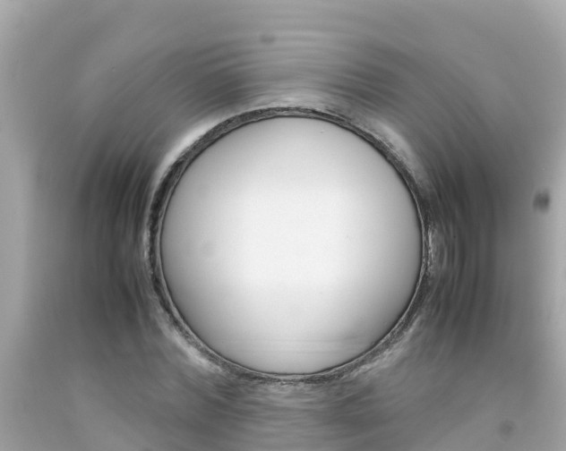 X0000092050780200709121024