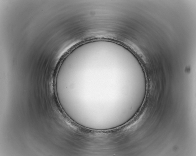 X0000092050782200709121024