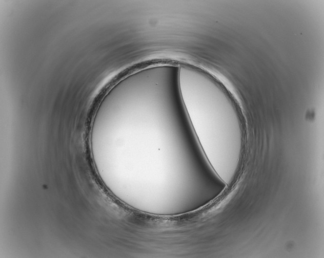 X0000092050783200709121024