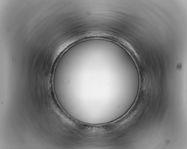 X0000092050786200709121024