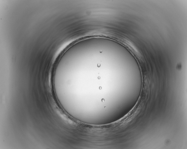 X0000092050788200709121024