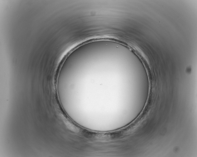 X0000092050789200709121024