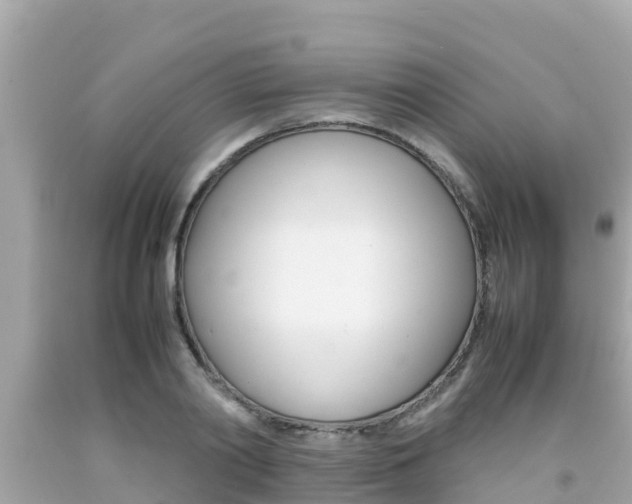 X0000092050790200709121024
