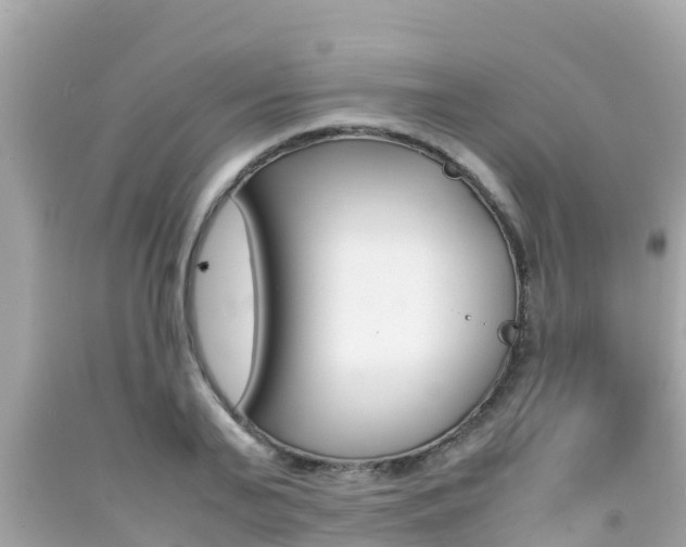 X0000092050791200709121024