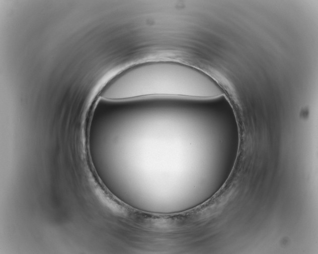 X0000092050792200709121024