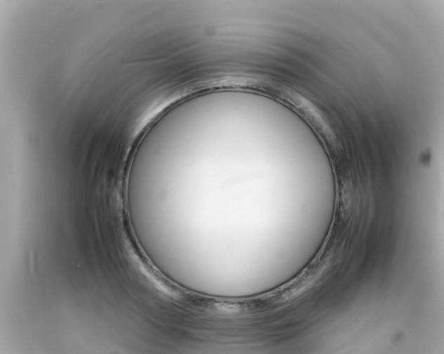 X0000092050794200709121024