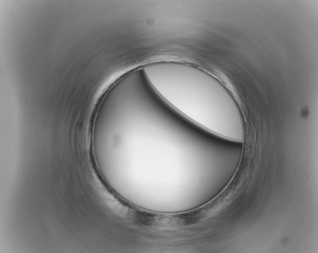 X0000092050795200709121024