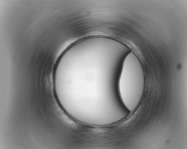 X0000092050796200709121024
