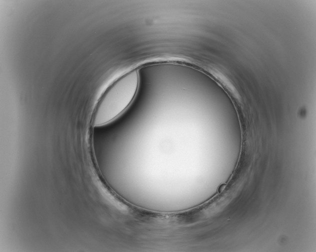X0000092050797200709121024