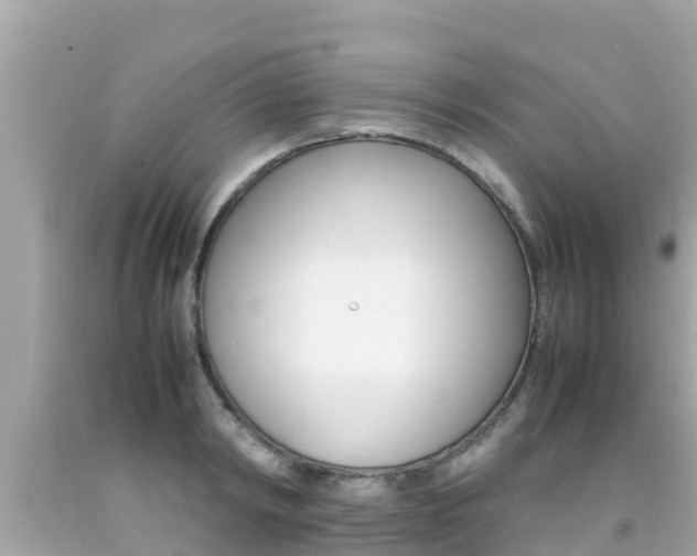 X0000092050798200709121024