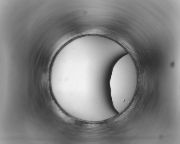 X0000092050800200709121024