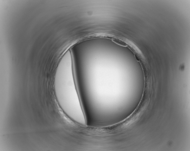 X0000092050801200709121024