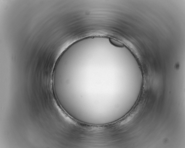 X0000092050802200709121024