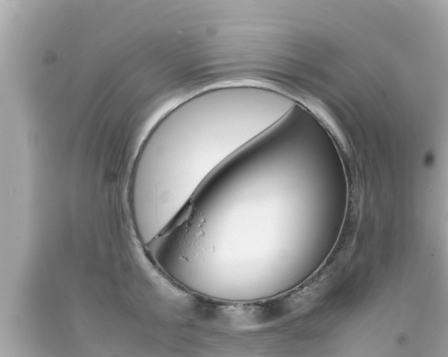 X0000092050805200709121024