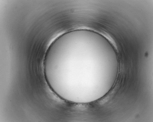 X0000092050806200709121024
