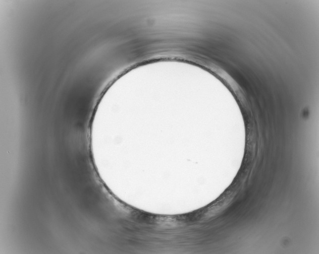 X0000092050807200709121024