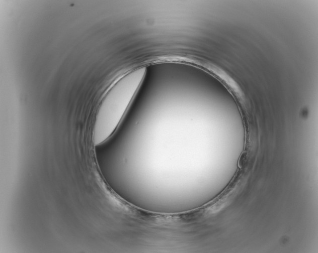 X0000092050809200709121024