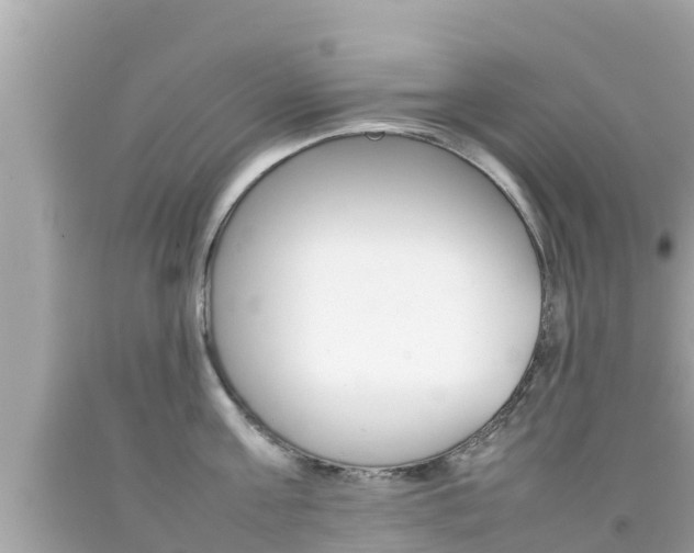 X0000092050811200709121024