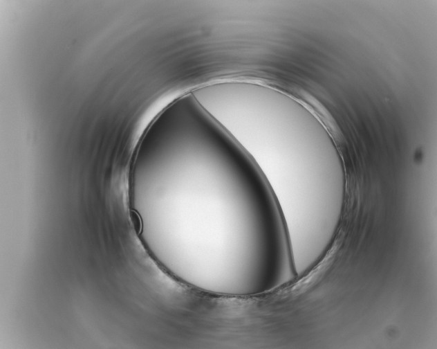 X0000092050812200709121024