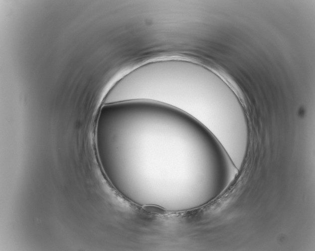 X0000092050813200709121024