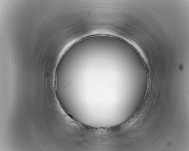 X0000092050815200709121023