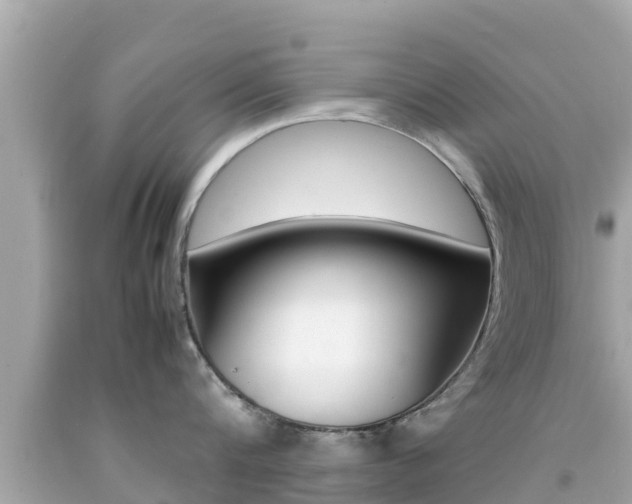 X0000092050816200709121023