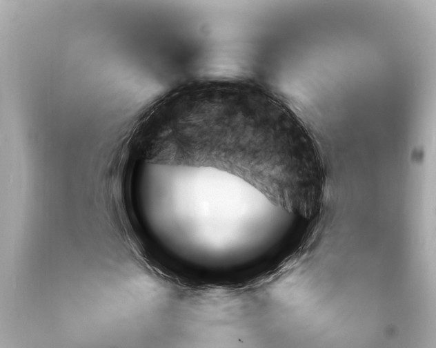 X0000092050817200709121023
