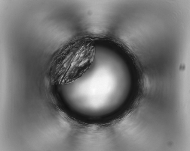 X0000092050818200709121023