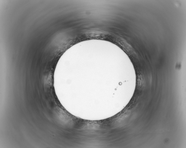 X0000092050820200709121023