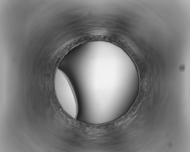 X0000092050821200709121023
