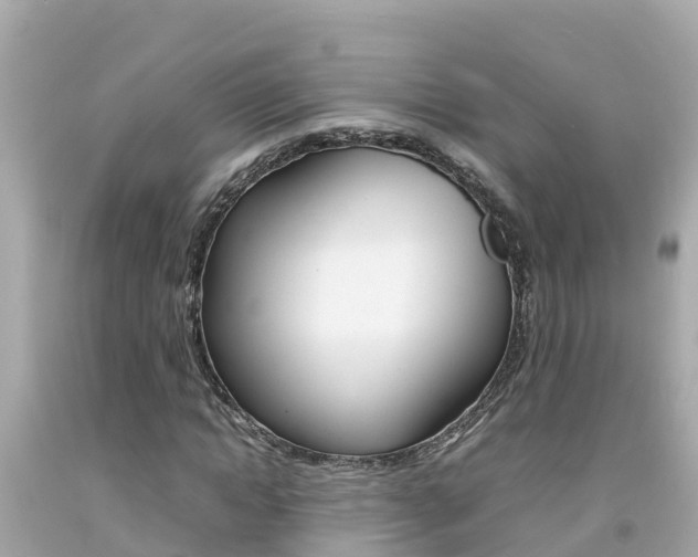 X0000092050822200709121023