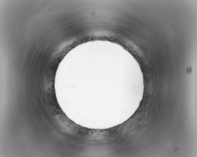X0000092050824200709121023