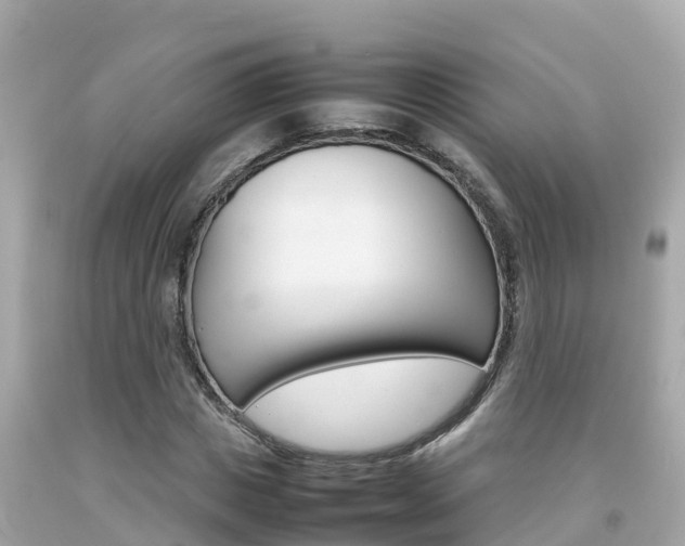 X0000092050825200709121023