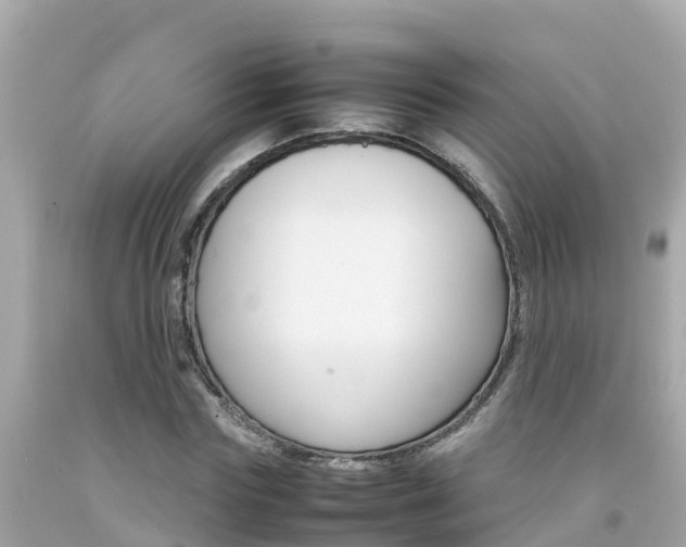 X0000092050827200709121023