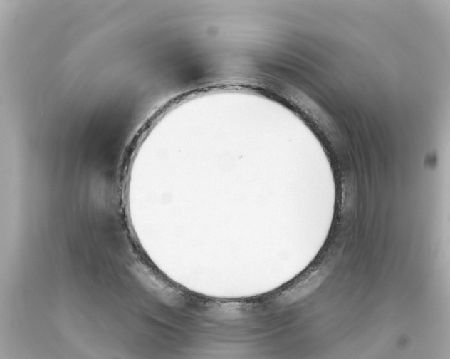 X0000092050828200709121023